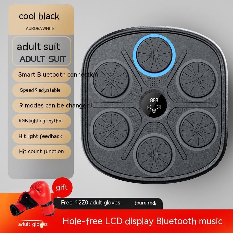 Music Boxing Wall Target Training