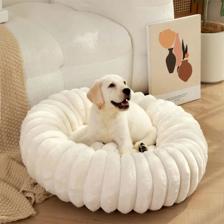 White fluffy donut dog bed with Labrador puppy resting on it, cozy and modern pet furniture for home decor