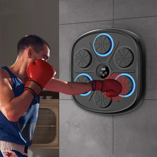Music Boxing Wall Target Training