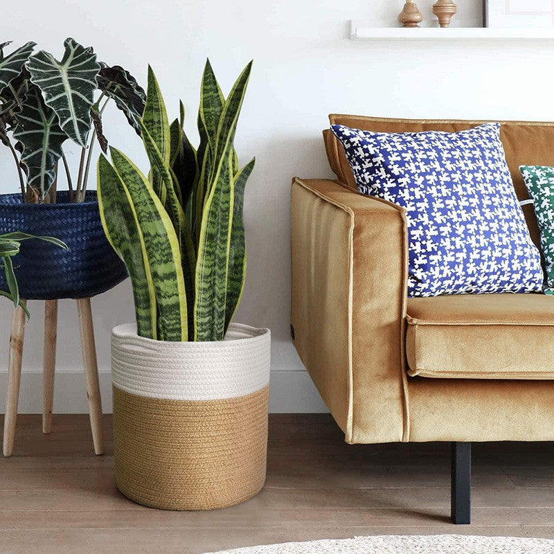 Modern Woven Indoor Plant Storage Basket