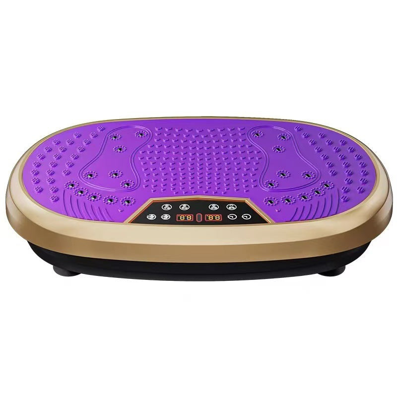 Rhythm Shaking Exercise Machine